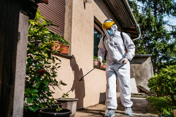 Pest Prevention Services in Abingdon, MD